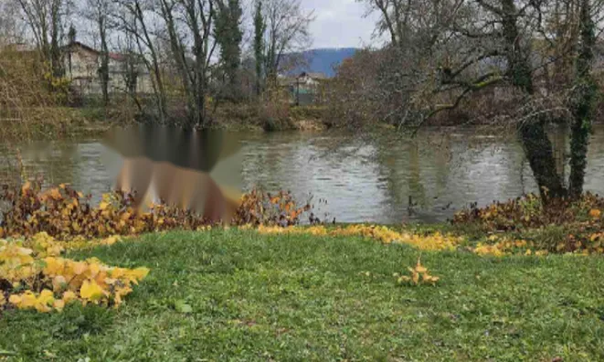 Недвижимость Дом в Вевче: 2