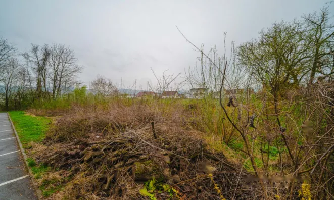 Недвижимость Офисное помещение, склад: 24