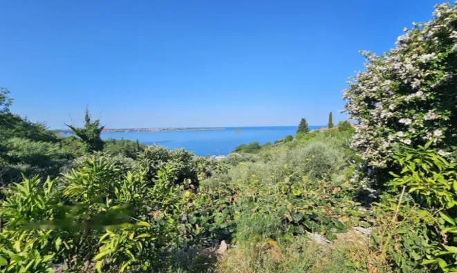 Недвижимость Дом в Пиране: 3