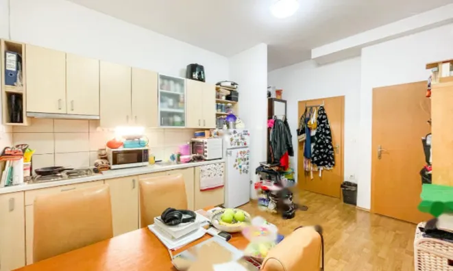 Недвижимость Трехкомнатная квартира Шишка: 11