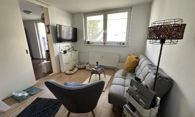 Недвижимость Квартира, 1-комнатная Кошезе: 3