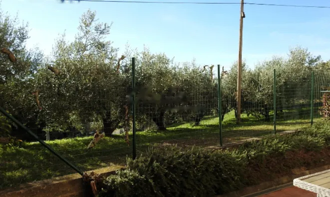 Недвижимость Квартира, 1-комнатная в Анкаране: 2