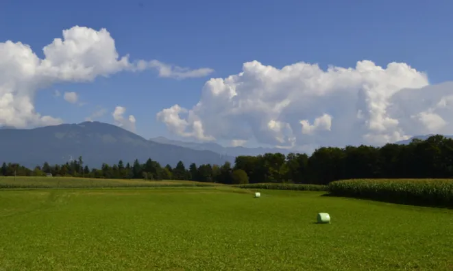 Недвижимость Участок, Сельскохозяйственная земля Новая Средняя Добрава: 4