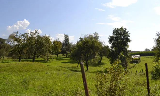 Недвижимость Участок, Сельскохозяйственная земля Новая Средняя Добрава: 8