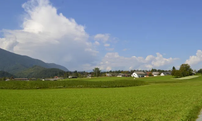 Недвижимость Участок, Сельскохозяйственная земля Новая Средняя Добрава: 9
