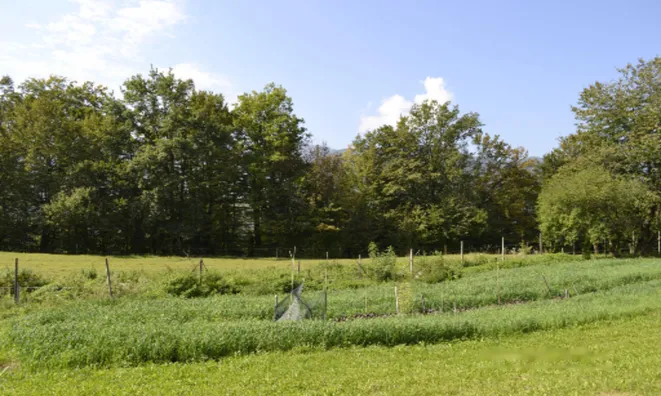 Недвижимость Участок, Сельскохозяйственная земля Новая Средняя Добрава: 10