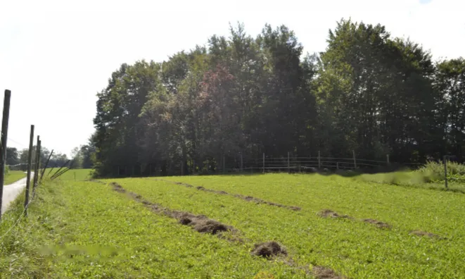 Недвижимость Участок, Сельскохозяйственная земля Новая Средняя Добрава: 11