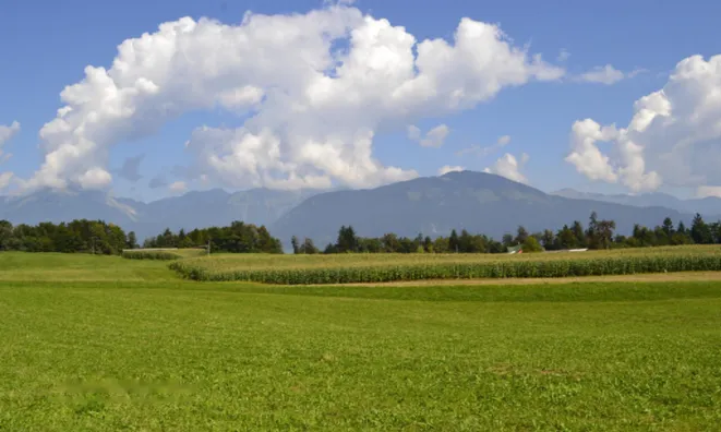 Недвижимость Участок, Сельскохозяйственная земля Новая Средняя Добрава: 13