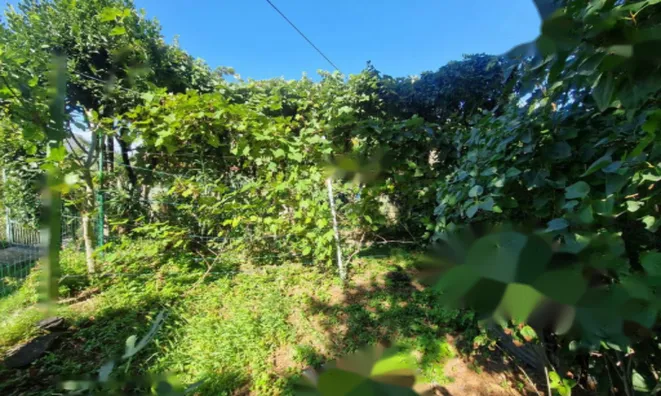 Недвижимость Трёхкомнатная квартира в Шмарье: 19