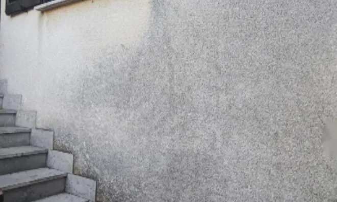 Недвижимость Квартира, 4 комнаты, Побеги: 2