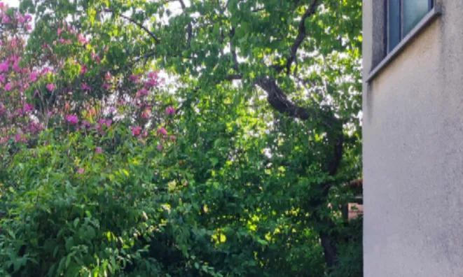 Недвижимость Квартира, 4 комнаты, Побеги: 4