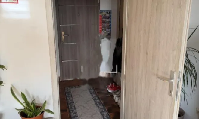 Недвижимость Квартира 4-комнатная Новая Лучия: 2