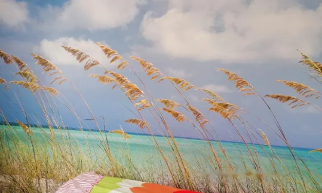 Недвижимость Трёхкомнатная квартира в Хрпелье: 14