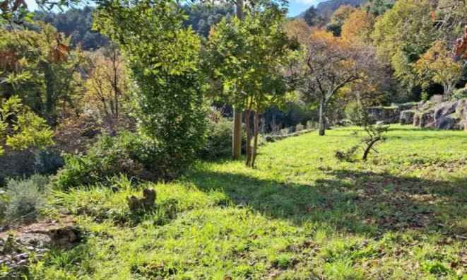 Недвижимость Семейный дом в центре Опатии: 8