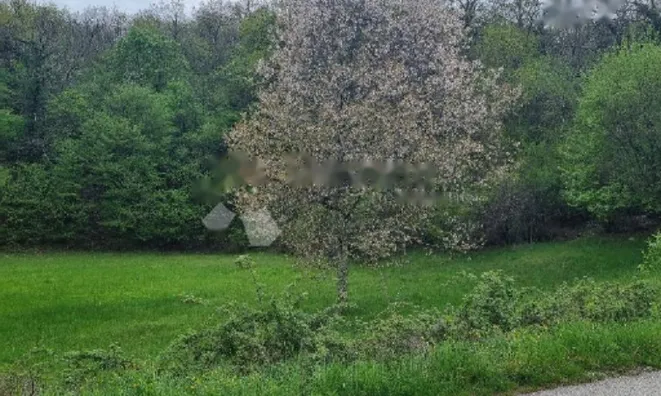 Недвижимость Семейный дом 170 м², Центр, Опатия: 10