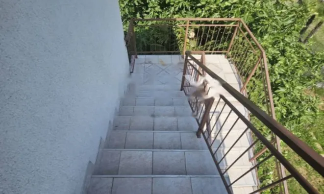 Недвижимость Четырехкомнатная квартира в центре Опатии: 22