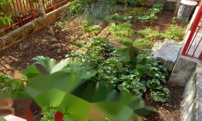 Недвижимость Семейный дом в центре Опатии: 4