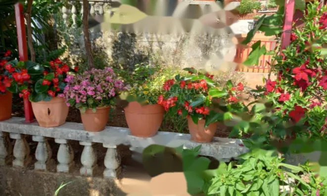 Недвижимость Семейный дом в центре Опатии: 24