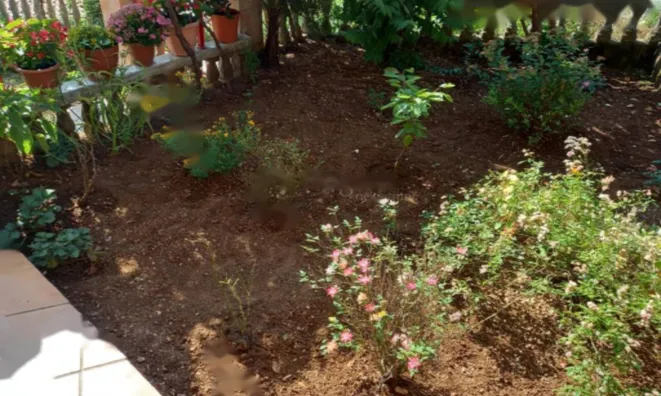 Недвижимость Семейный дом в центре Опатии: 25