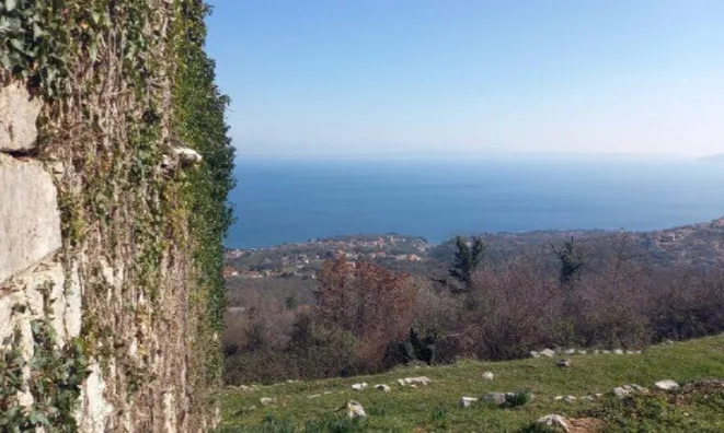 Недвижимость Дом для Реновации в Центре: 9