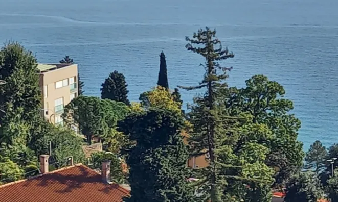 Недвижимость Трехкомнатная Квартира в Центре: 3