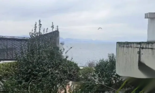 Недвижимость Трёхкомнатная квартира 65 м², Центр, Опатия: 1