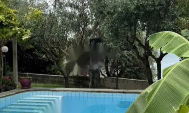 Недвижимость Дом, Порторож: 15