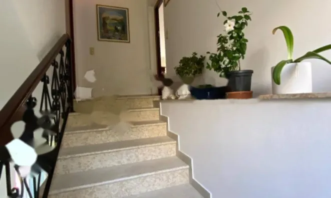 Недвижимость Трехкомнатная квартира в центре Опатии: 12