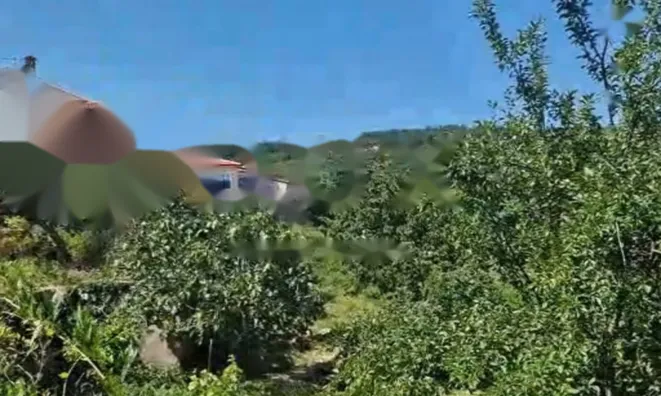 Недвижимость Коттедж 85 м² в Центре Опатии: 14