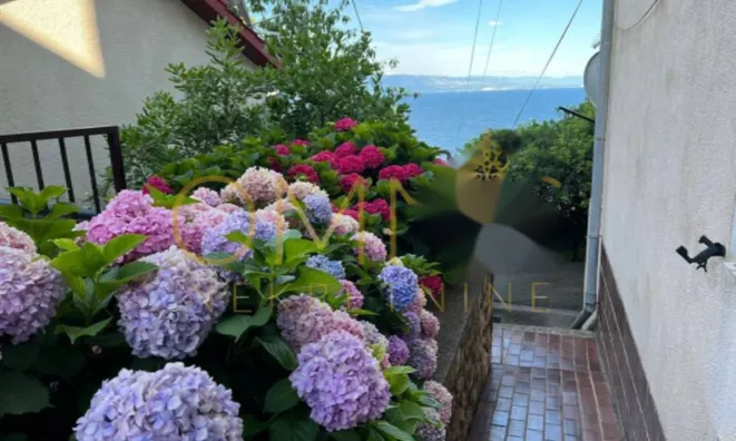 Недвижимость Однокомнатная квартира в центре: 21