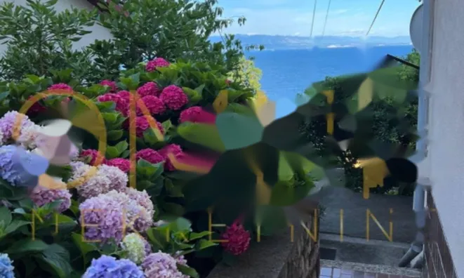 Недвижимость Однокомнатная квартира в центре: 24