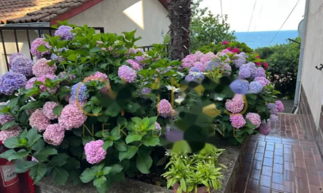 Недвижимость Однокомнатная квартира в центре: 27