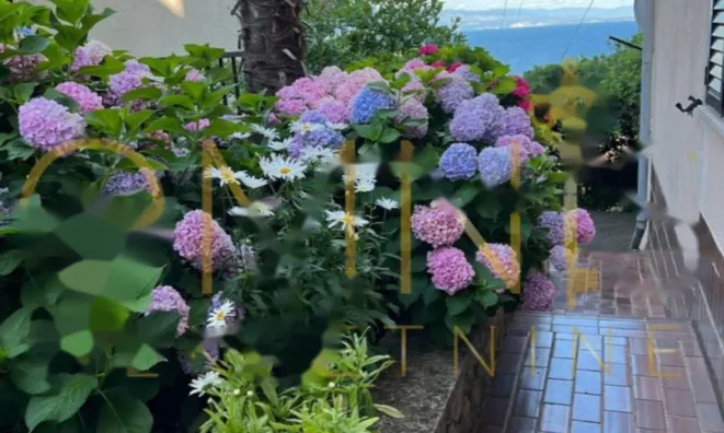 Недвижимость Однокомнатная квартира в центре: 28