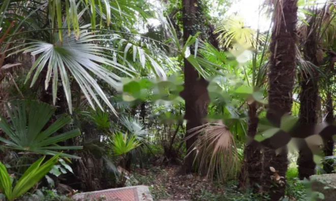 Недвижимость Четырехкомнатная квартира в центре, Опатия: 18