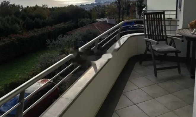 Недвижимость Четырехкомнатная квартира Центр: 20