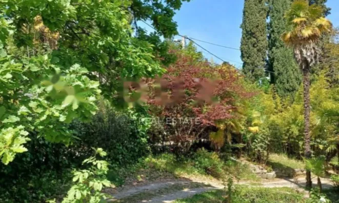 Недвижимость Квартира в центре Опатии: 20