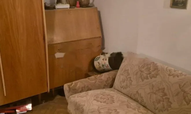 Недвижимость Четырехкомнатная квартира 145 м², Центр, Опатия: 2