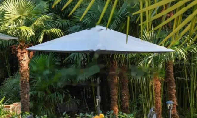 Недвижимость Двухкомнатная квартира в центре: 17