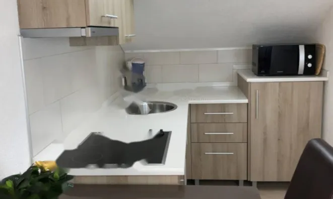 Недвижимость Семейный дом 500 м² в Центре: 13