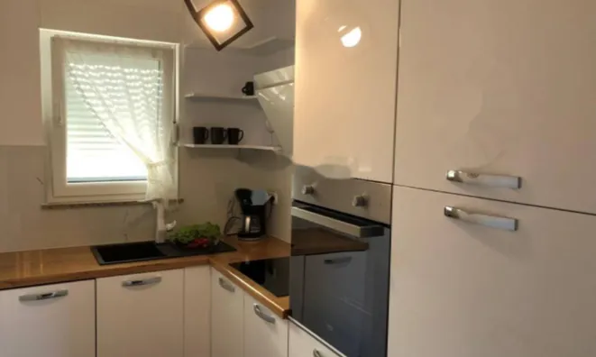 Недвижимость Семейный дом 500 м² в Центре: 14