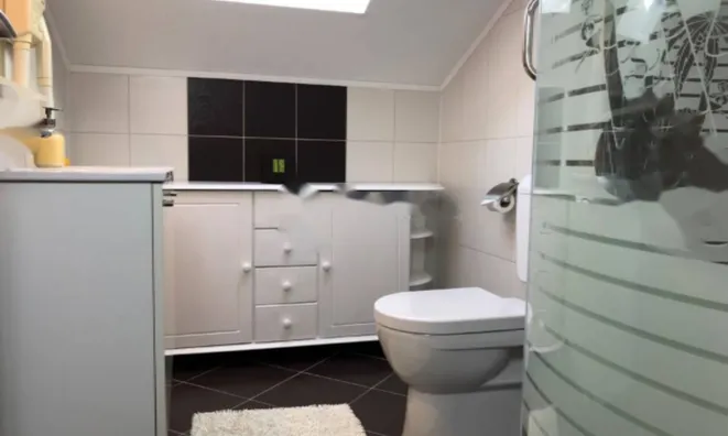 Недвижимость Семейный дом 500 м² в Центре: 22