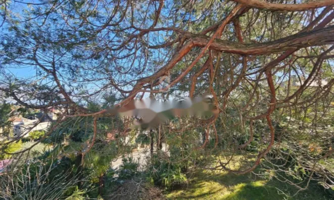 Недвижимость Обитель 213 м², Центр, Опатия: 4