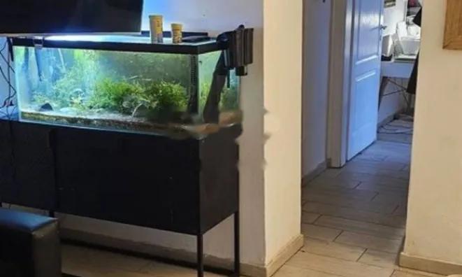 Недвижимость Четырёхкомнатная квартира, Центр, Опатия: 16