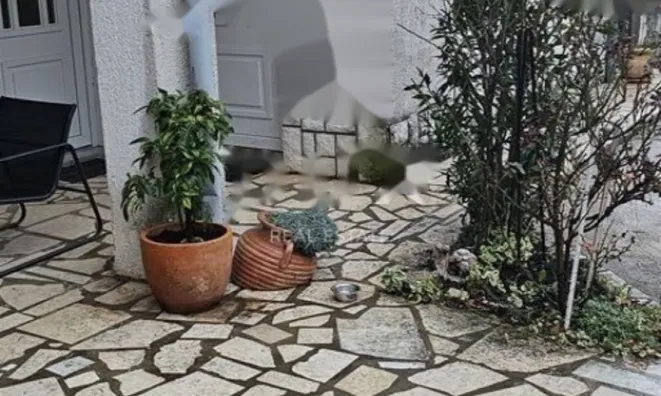 Недвижимость Четырёхкомнатная квартира, Центр, Опатия: 21