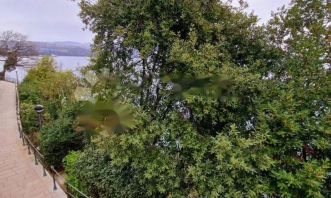 Недвижимость Трехкомнатная квартира в центре: 3