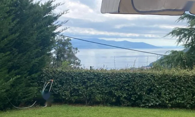 Недвижимость Трёхкомнатная квартира в центре: 3