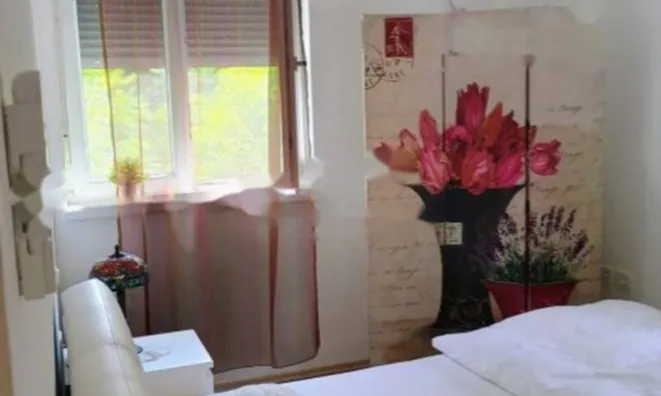 Недвижимость Трёхкомнатная квартира, Центр, Опатия: 11