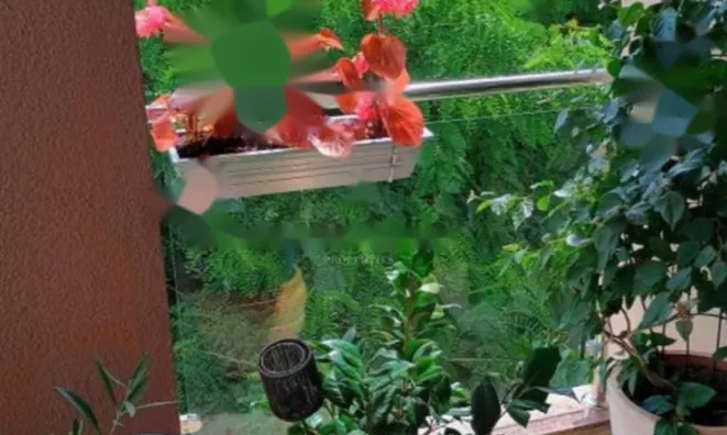 Недвижимость Трёхкомнатная квартира, Центр, Опатия: 14