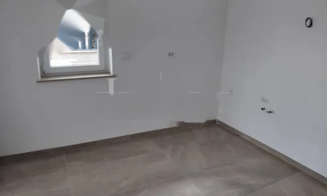 Недвижимость Трехкомнатная квартира в центре: 13