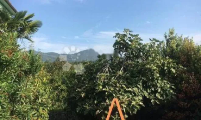 Недвижимость Трехкомнатная квартира, Центр: 19